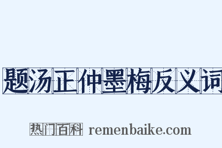 题汤正仲墨梅反义词是什么意思的图片